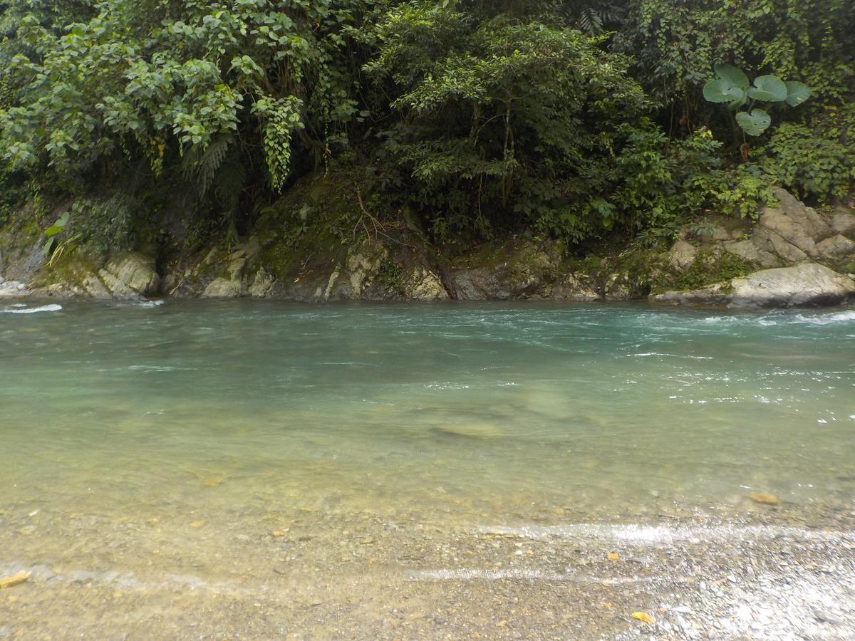 Jungle Tribe Guesthouse Berastagi Dış mekan fotoğraf
