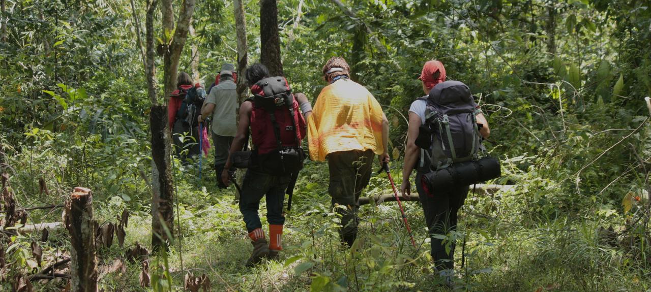 Jungle Tribe Guesthouse Berastagi Dış mekan fotoğraf